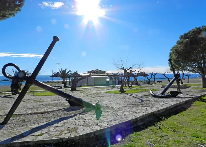 Zdravko * Omiš